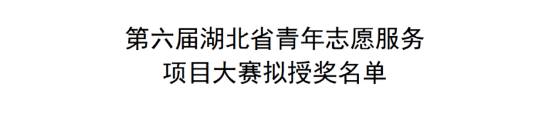 我校在湖北青年志愿服务项目大赛中获佳绩