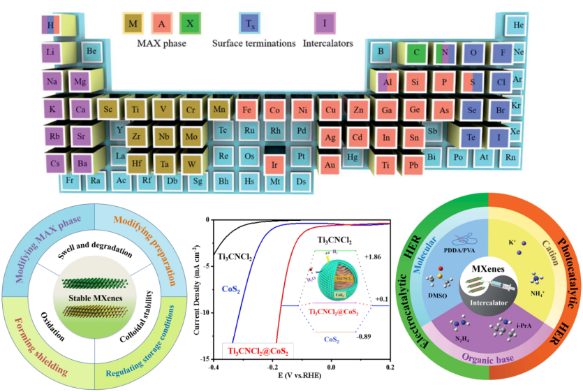 环生学院特聘教授江吉周课题组在MXenes研究领域取得系列成果